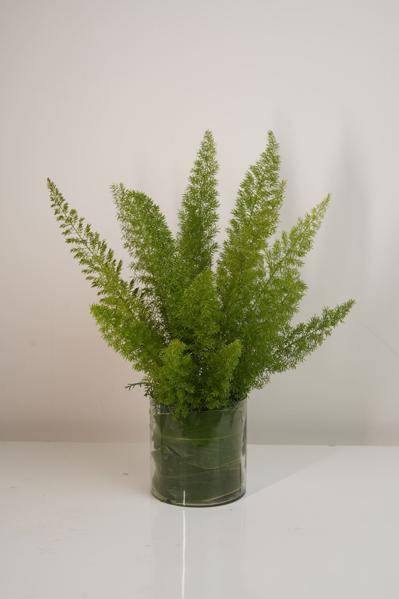 Asparagus