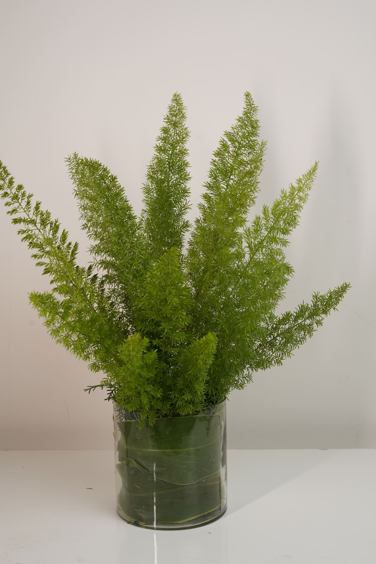 Asparagus