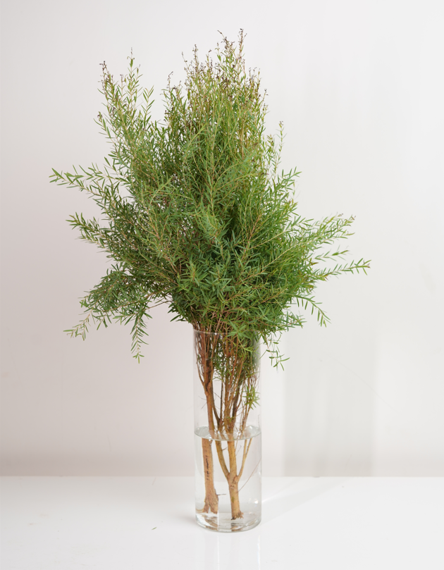 Cupper Bottle Brush