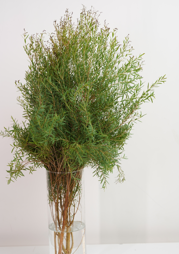 Cupper Bottle Brush