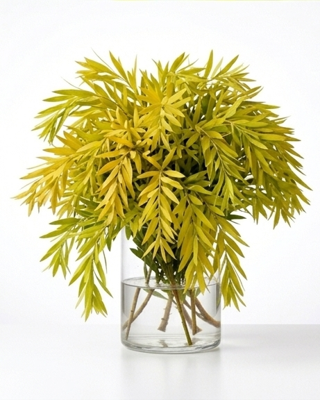 Golden Bottle Brush